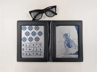 検査のアレコレ!【視能訓練科】